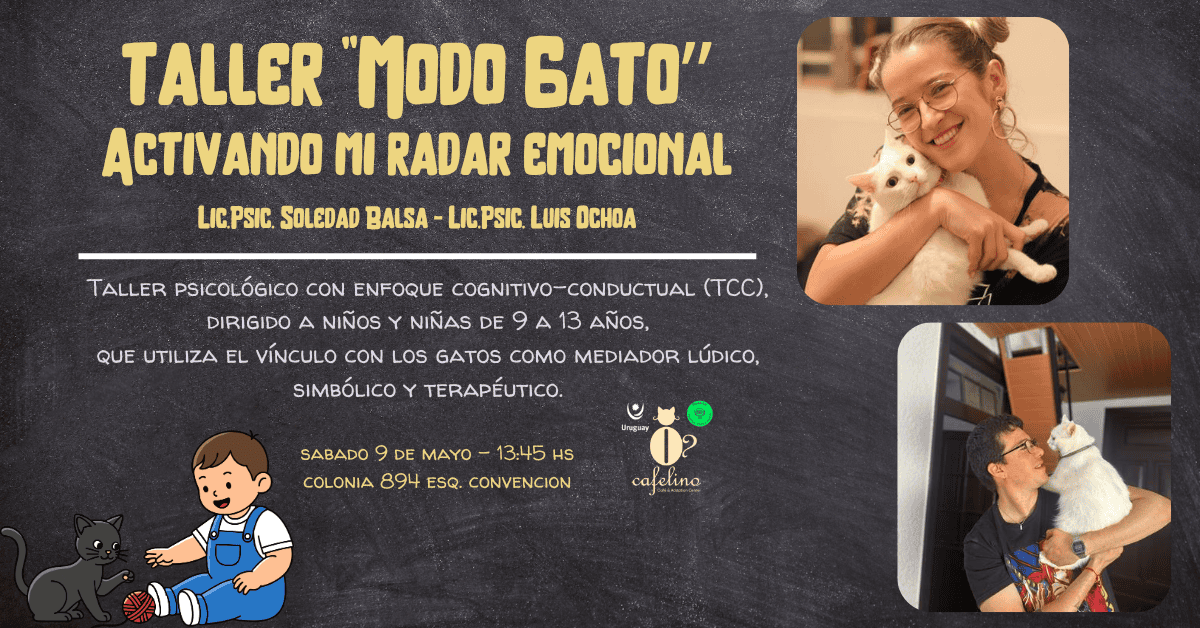 Taller "Modo Gato". Activando mi radar emocional