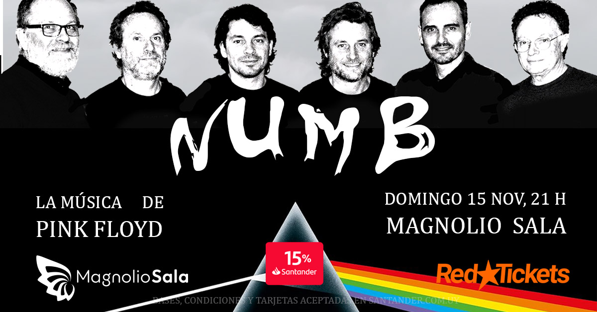 NUMB - La música de PINK FLOYD