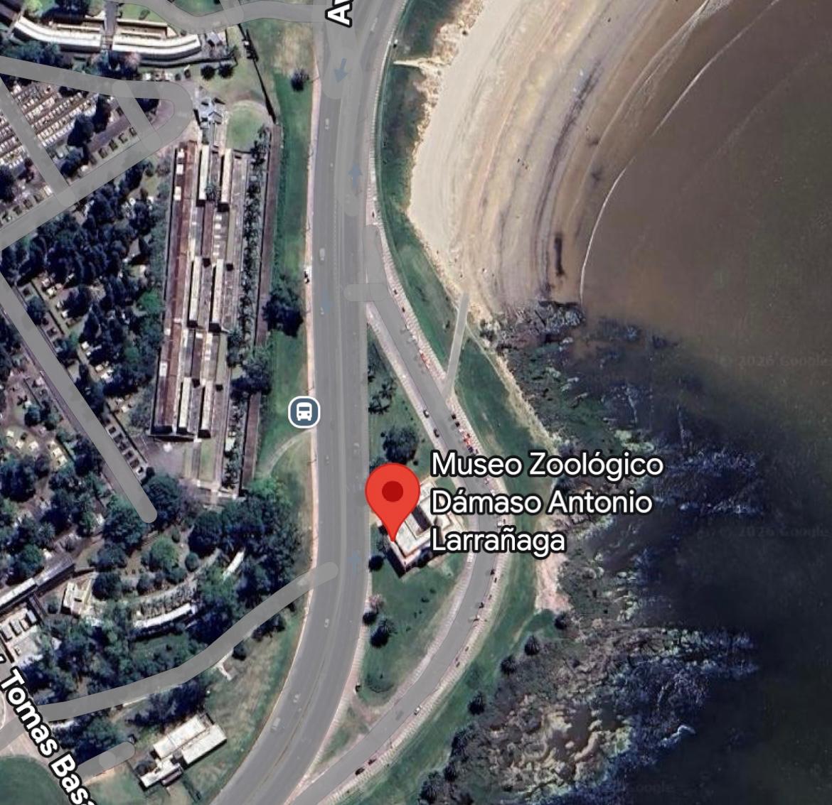 Museo Oceanográfico